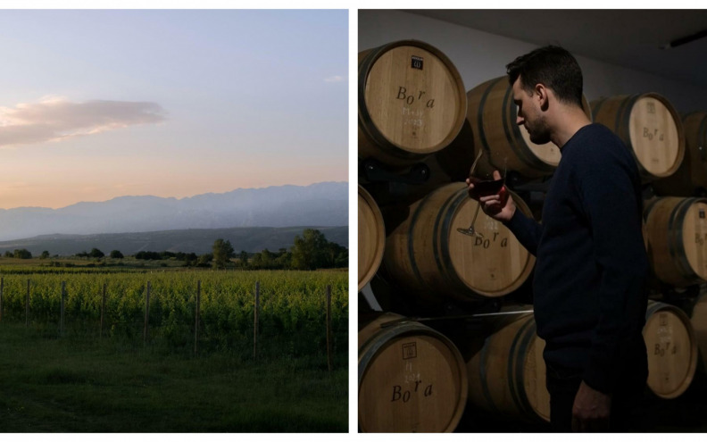 Sinonim za izvrsnost – Vinarija Bora je perjanica zadarskog vinarstva i ponos Hrvatske